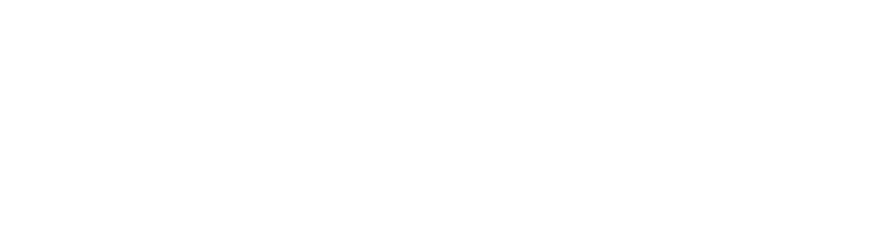 logo-pptimmo-blanc